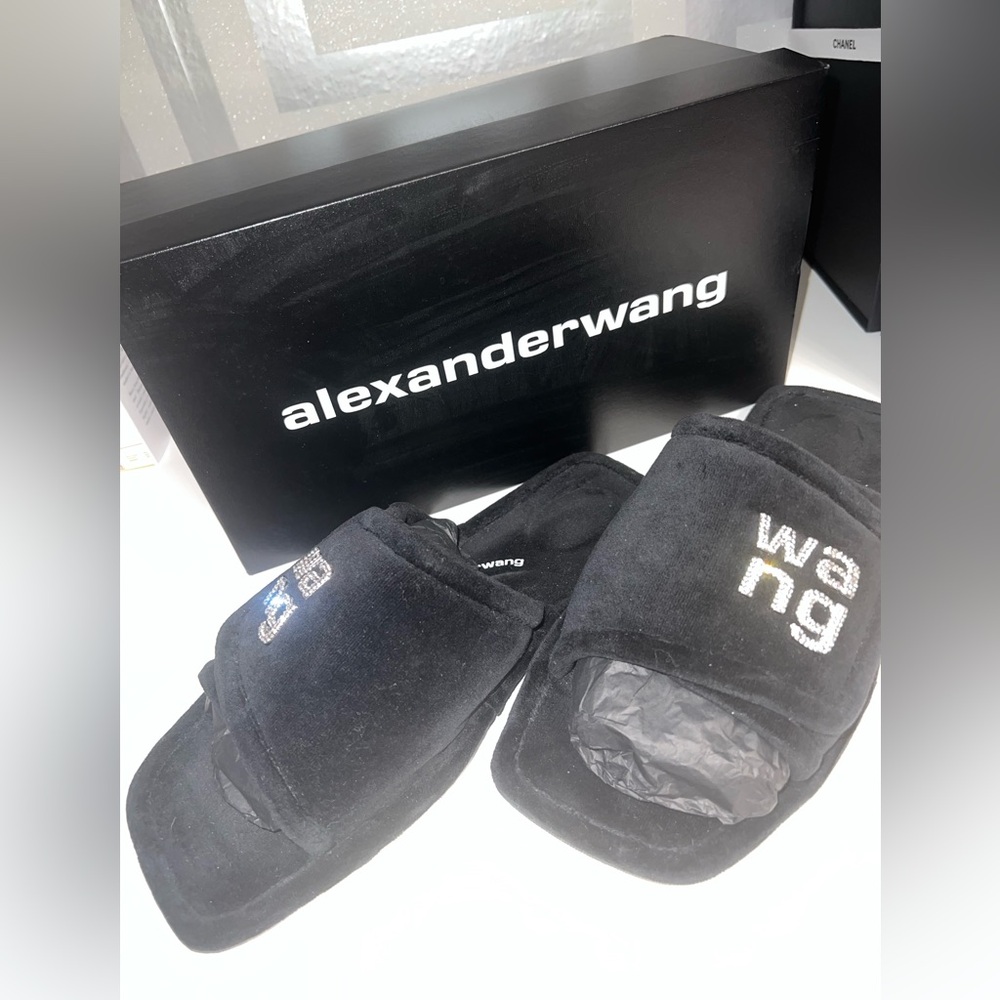 Alexander wang Slides